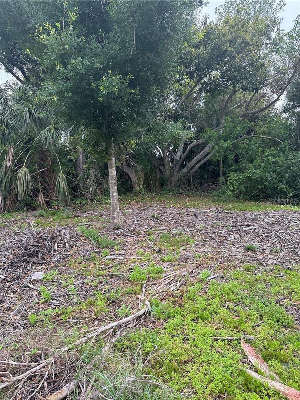 Photo of 1015 Elm Street, Punta Gorda, FL 33950 (MLS # N6142261)