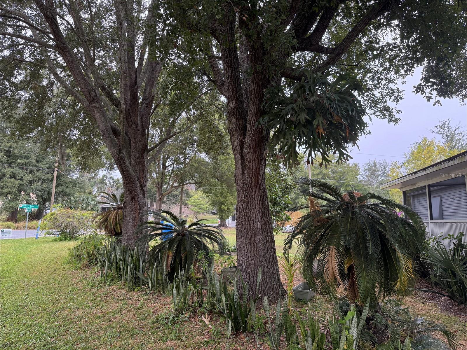 TROYNELLE BY LAKE APOPKA - Residential