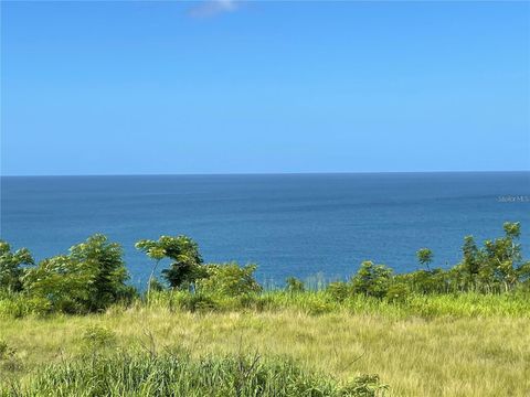 ROAD 429 RINCON  00677