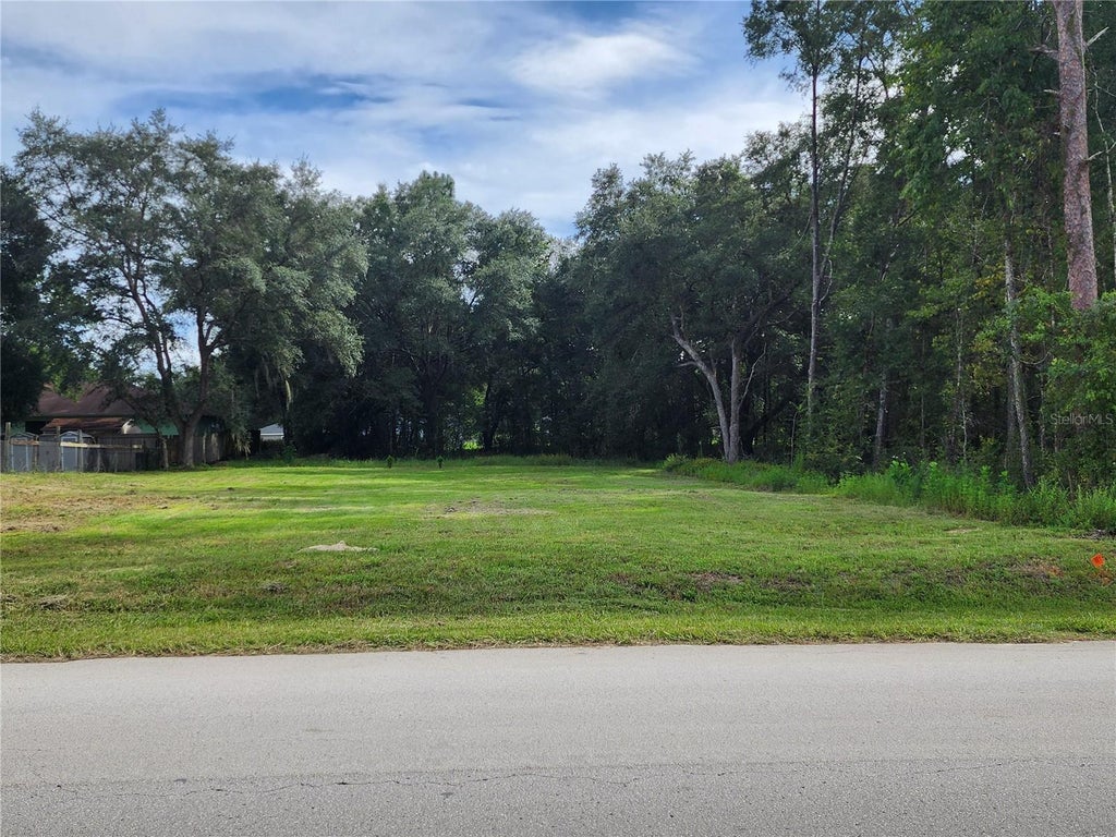 Photo of SW 20th Place, Ocala, FL 34481 (MLS # OM731541)