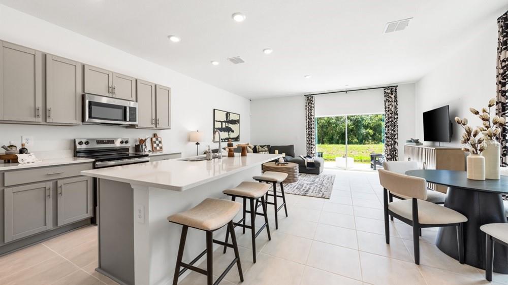 THE TOWNS AT SKYE RANCH - Residential