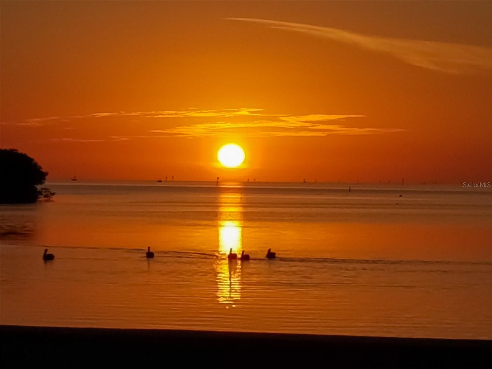 DRIFTWOOD ISLES - Residential