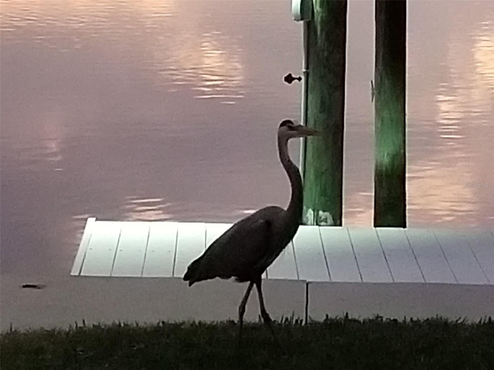 DRIFTWOOD ISLES - Residential