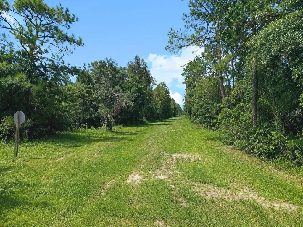 Blk 254 Lot 7 EL DORADO DRIVE
