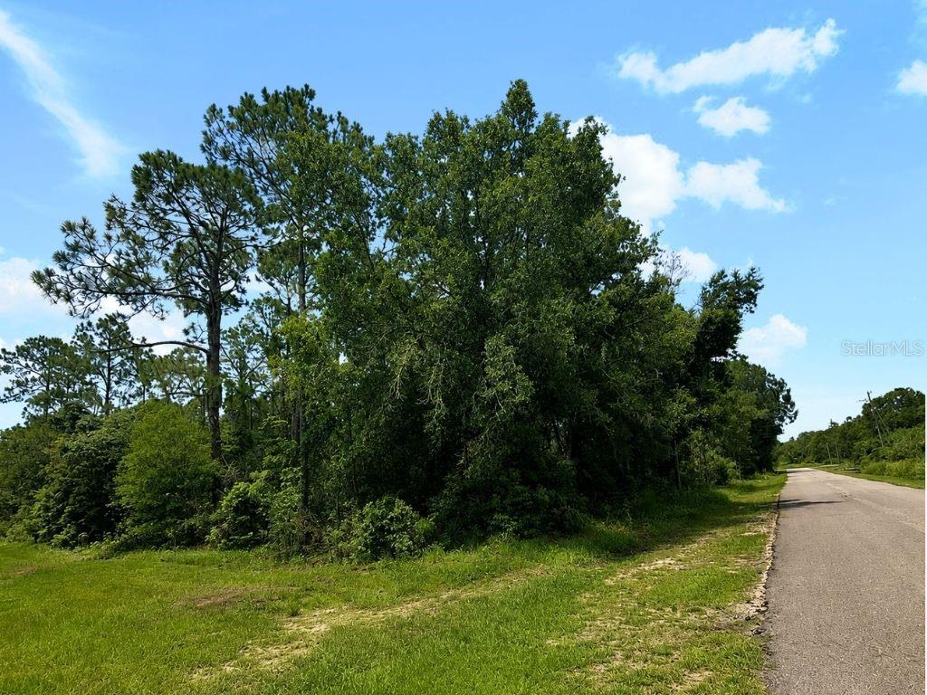 Blk 254 Lot 7 EL DORADO DRIVE
