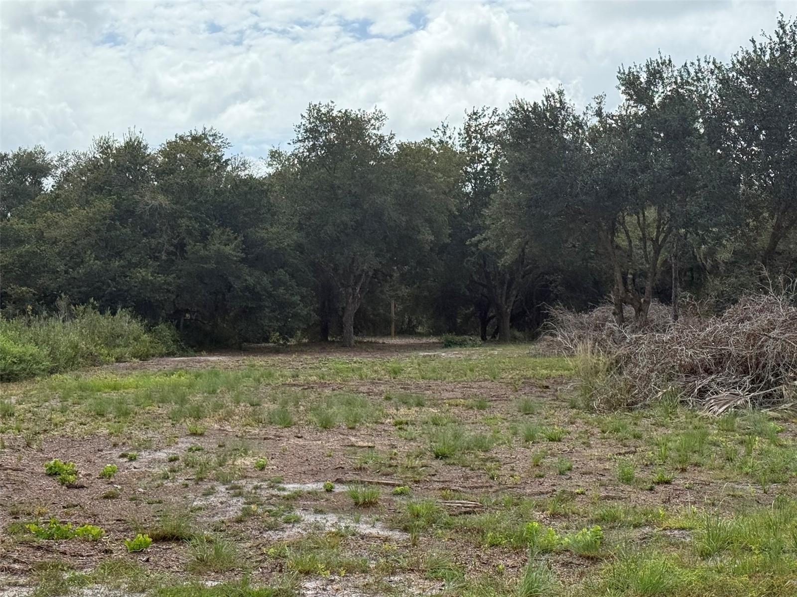 SOUTHERN COLONIZATION CO - Land