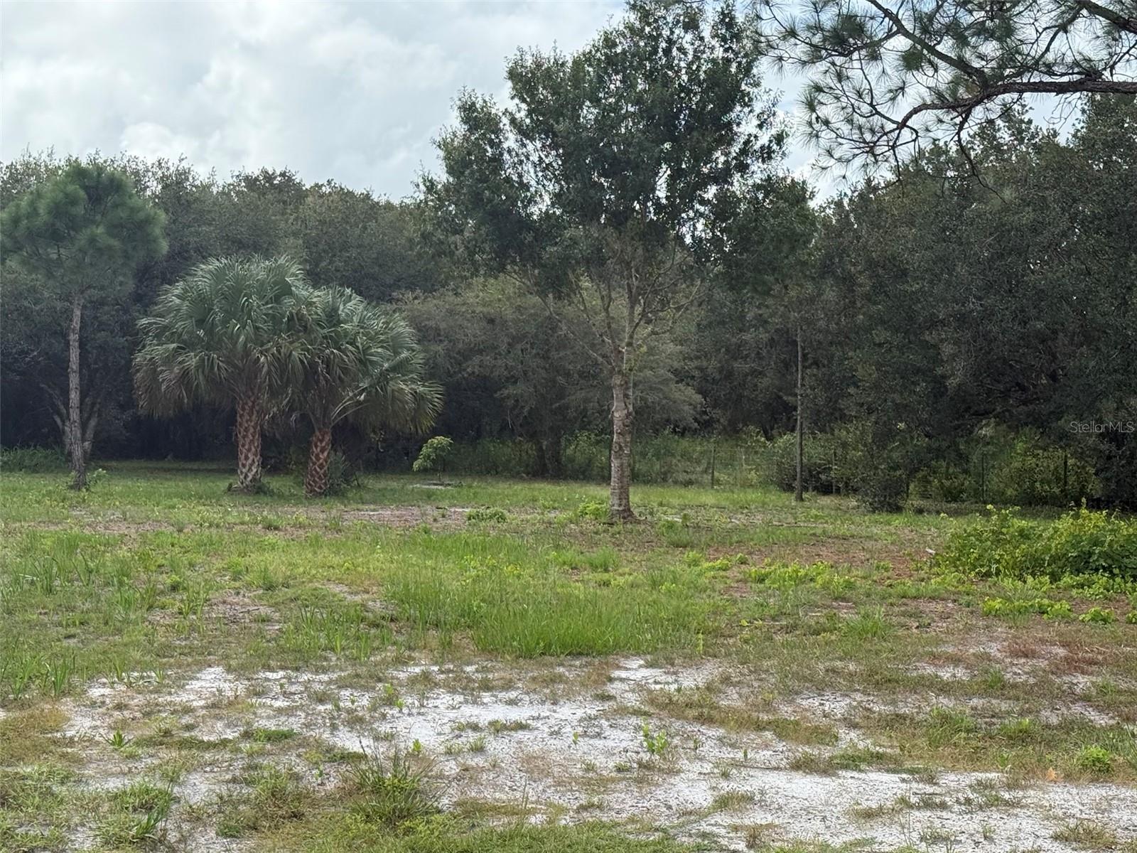 SOUTHERN COLONIZATION CO - Land