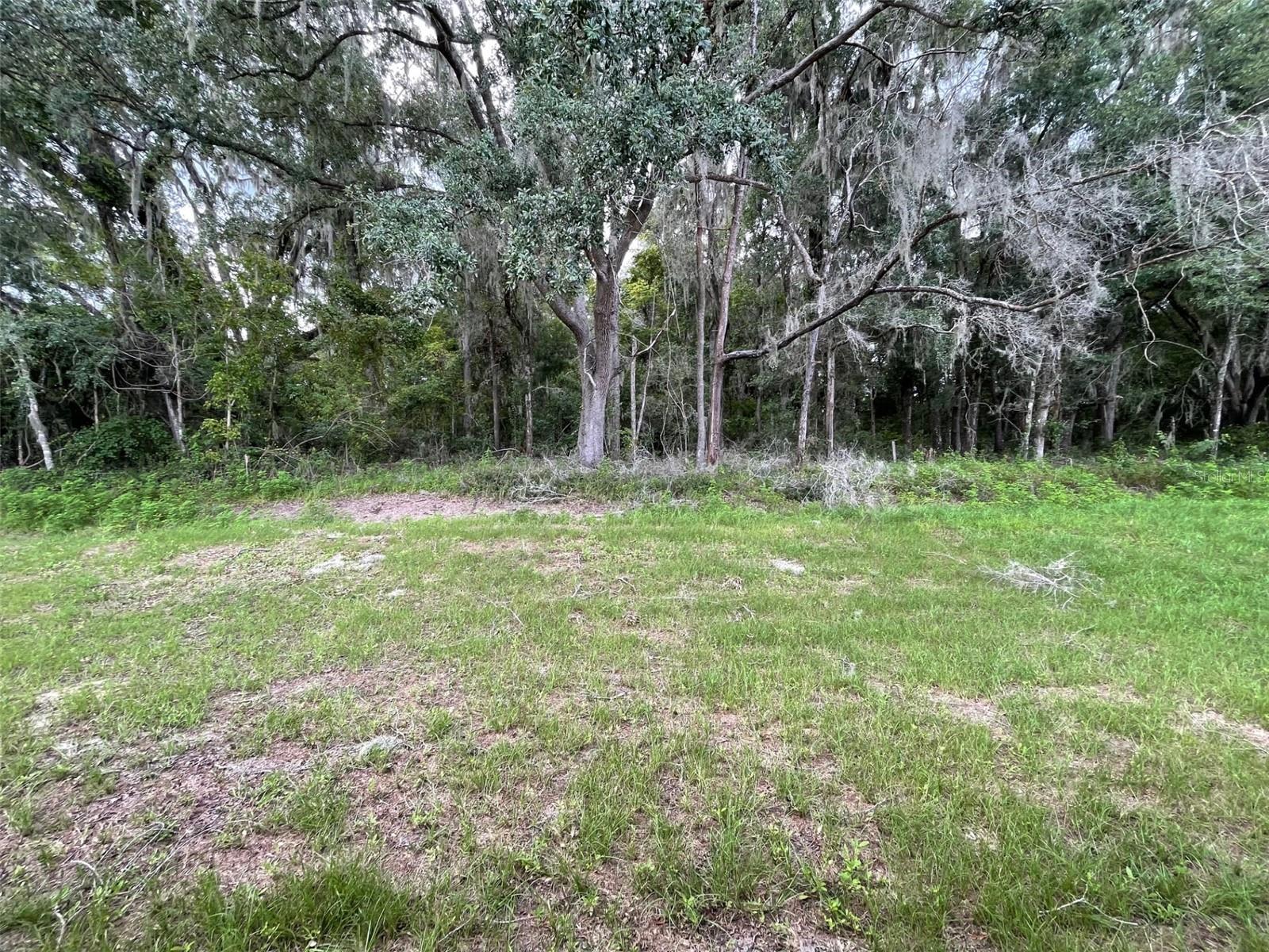 ARBOR GREENS - Residential Lease