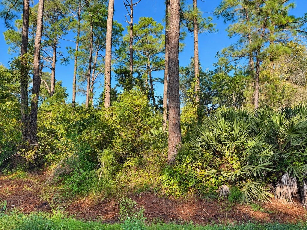 Photo of 10th Ave, Deland, FL 32724 (MLS # O6446797)