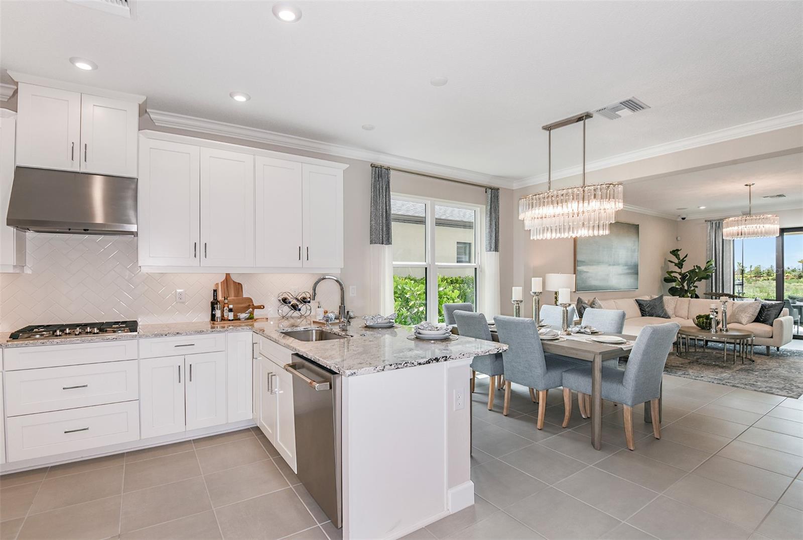 CASSIA AT SKYE RANCH - Residential