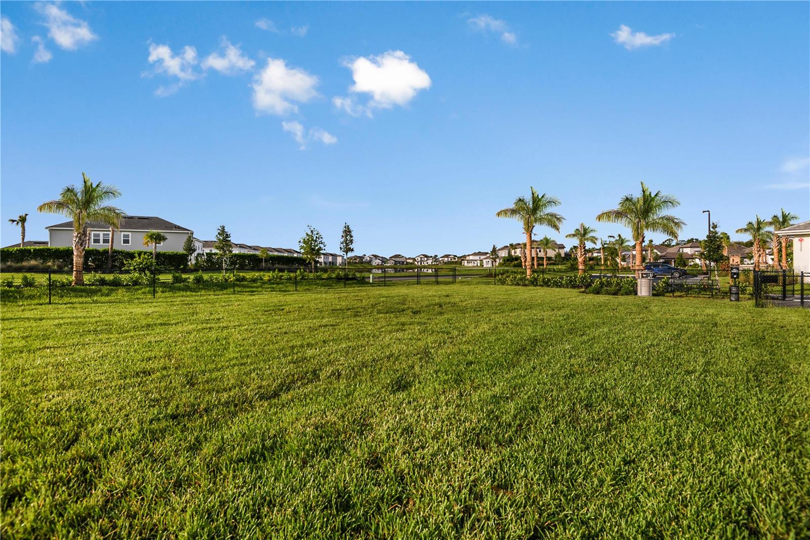 CASSIA AT SKYE RANCH - Residential