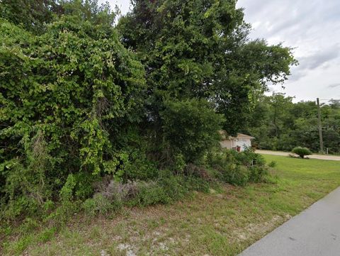 0 SE 88TH COURT SUMMERFIELD FL 34491