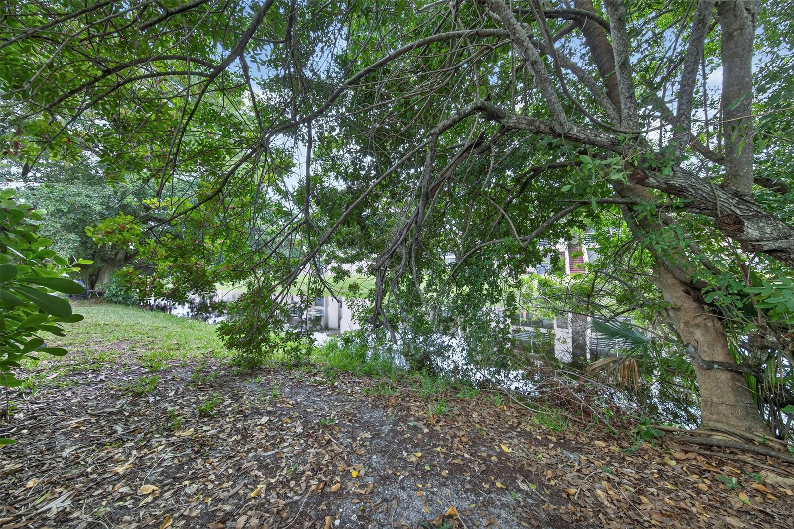 SPRINGS PARK - Residential