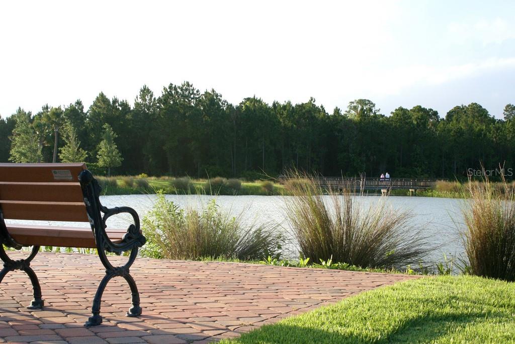 PALM COAST SEC 13 BRESSLER PRCL H BROOKSIDE PRCL P - Land