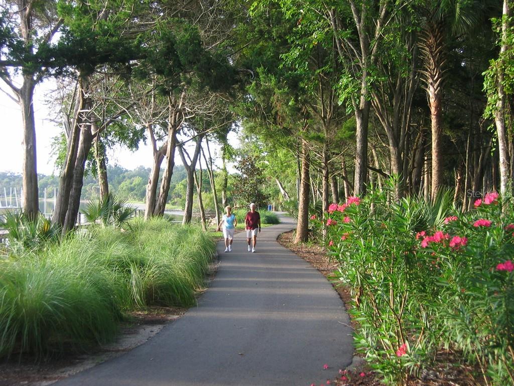 PALM COAST SEC 13 BRESSLER PRCL H BROOKSIDE PRCL P - Land