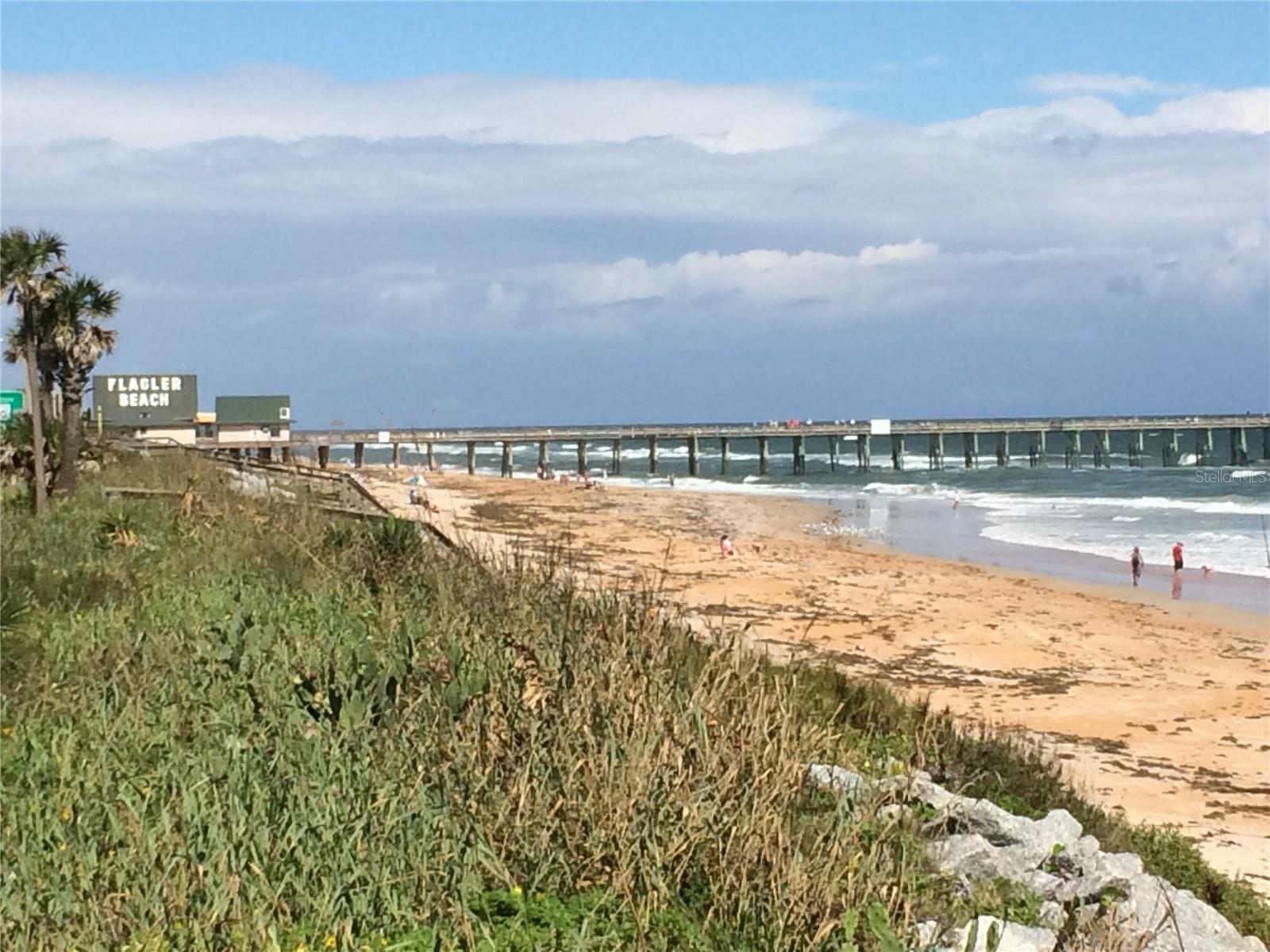 PALM COAST SEC 13 BRESSLER PRCL H BROOKSIDE PRCL P - Land