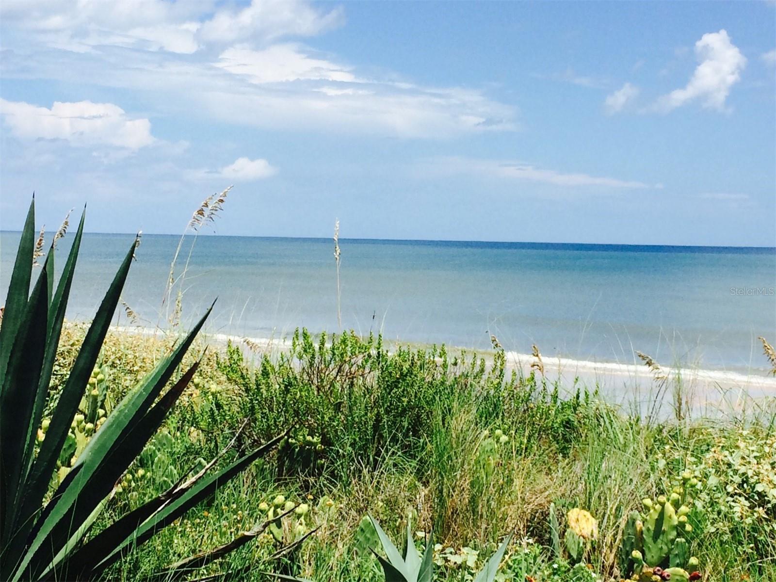 PALM COAST SEC 13 BRESSLER PRCL H BROOKSIDE PRCL P - Land