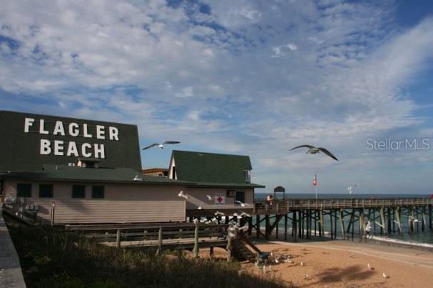 PALM COAST SEC 13 BRESSLER PRCL H BROOKSIDE PRCL P - Land