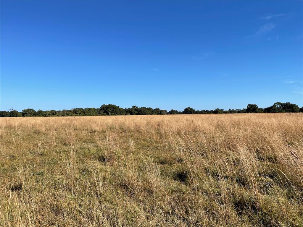 ACREAGE & UNREC - Land