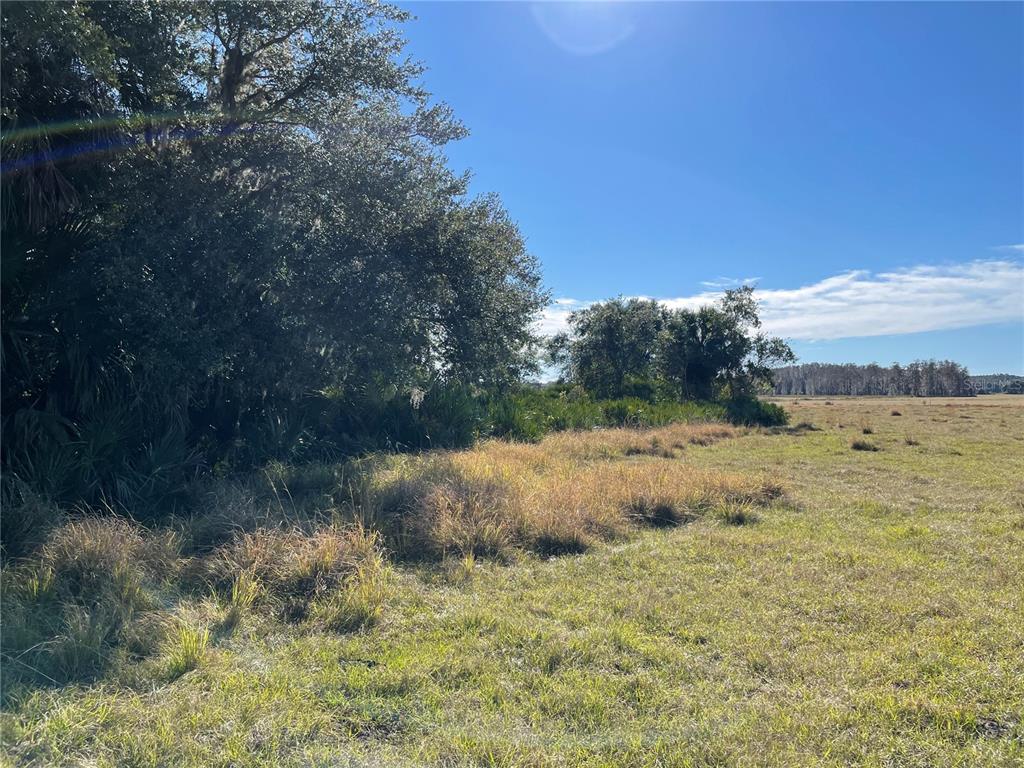 ACREAGE & UNREC - Land
