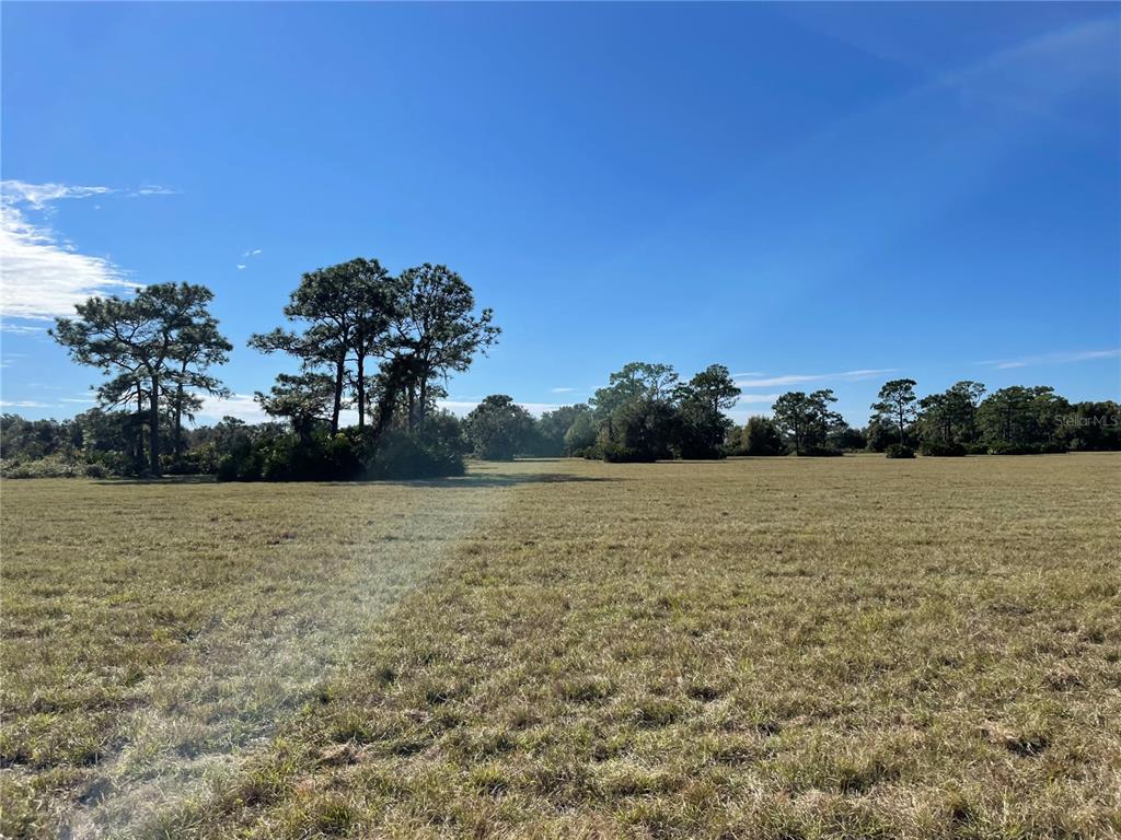ACREAGE & UNREC - Land