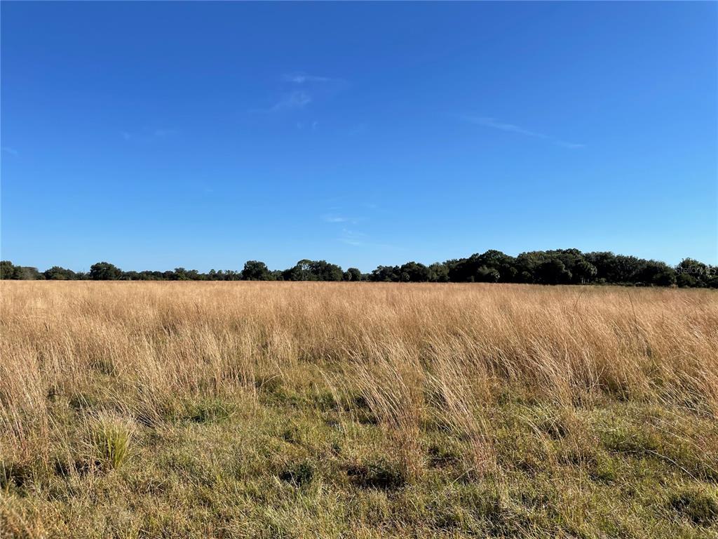 ACREAGE & UNREC - Land