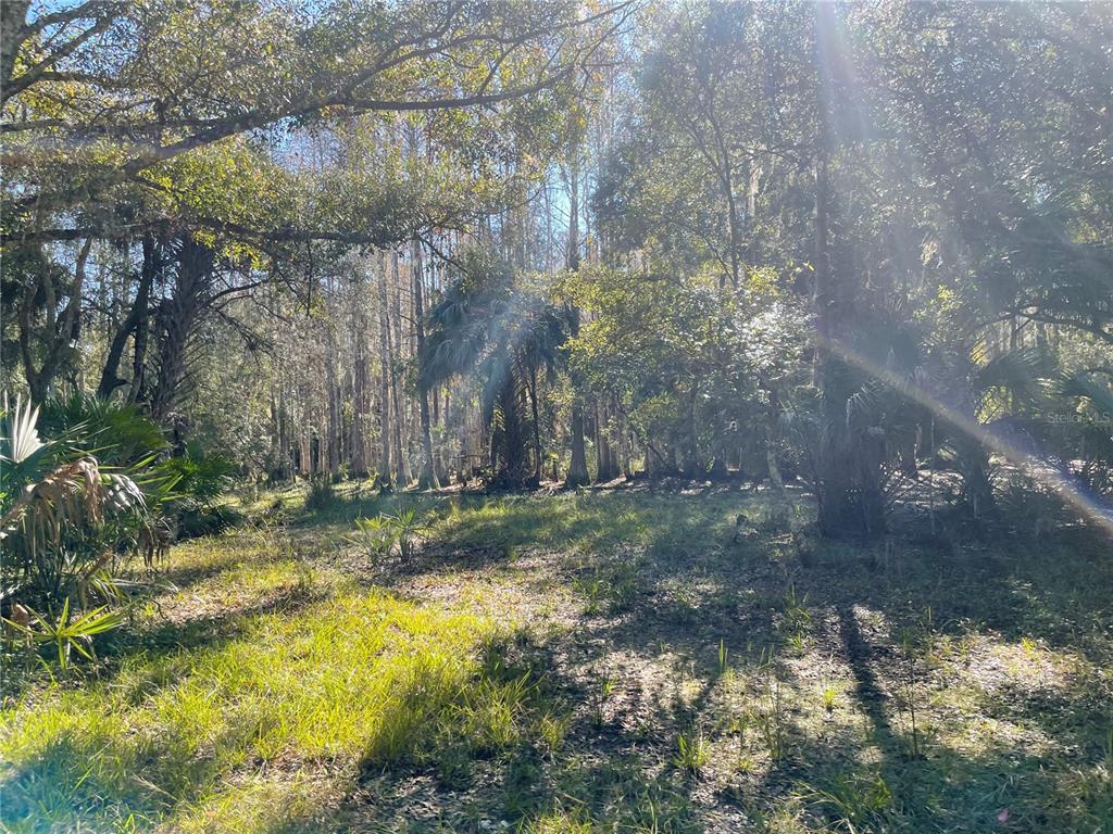ACREAGE & UNREC - Land