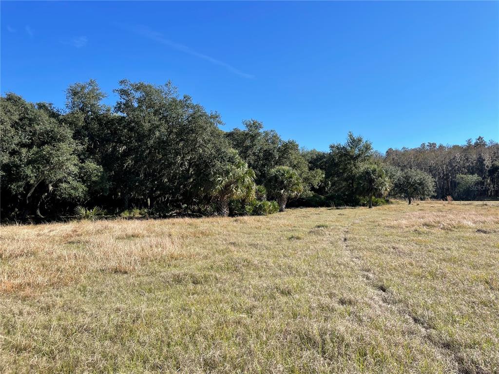 ACREAGE & UNREC - Land