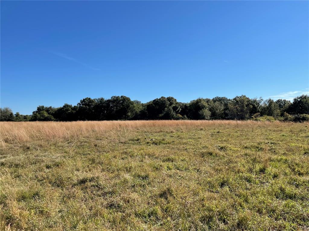 ACREAGE & UNREC - Land