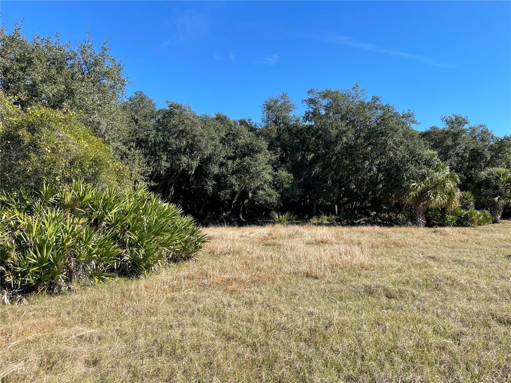 ACREAGE & UNREC - Land