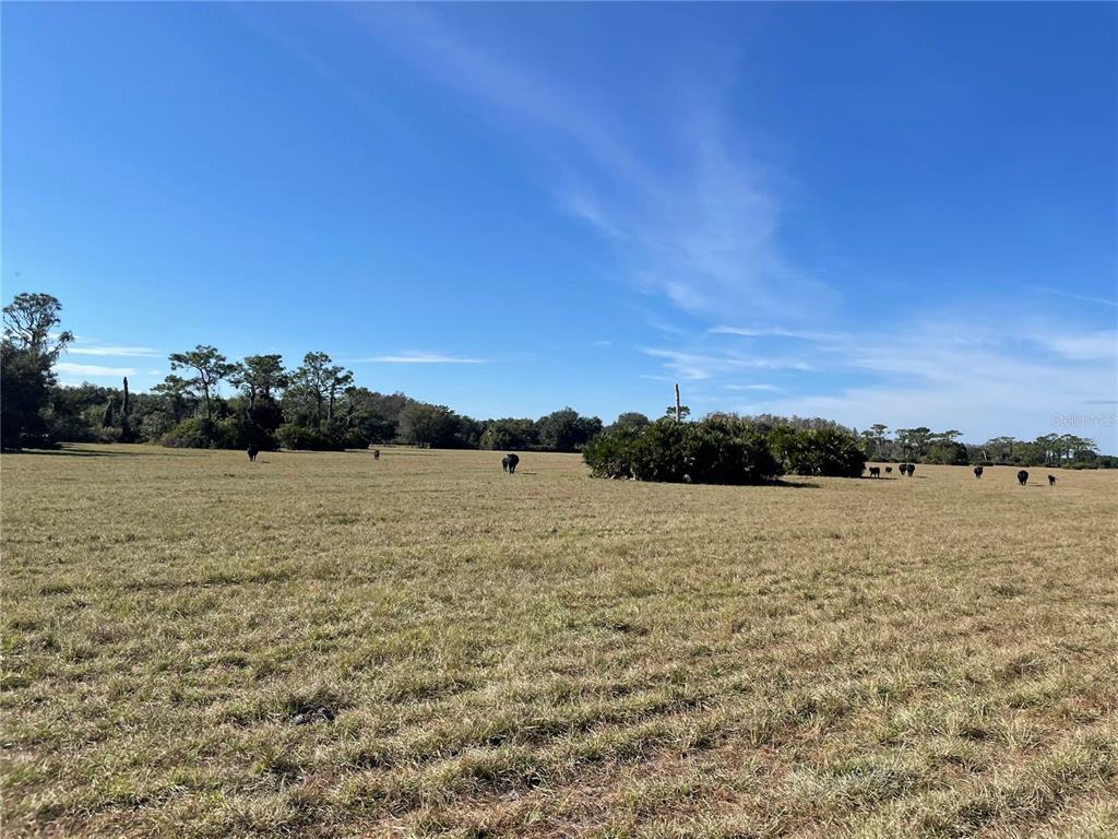 ACREAGE & UNREC - Land