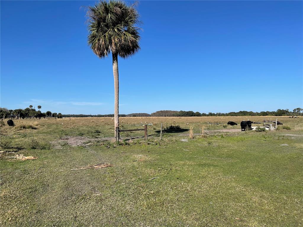 ACREAGE & UNREC - Land