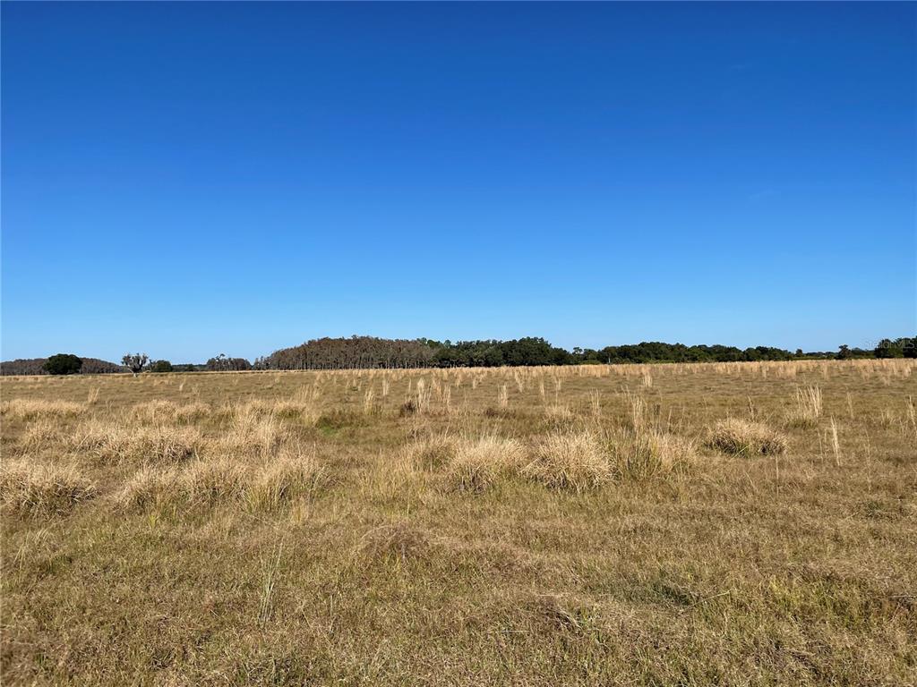 ACREAGE & UNREC - Land