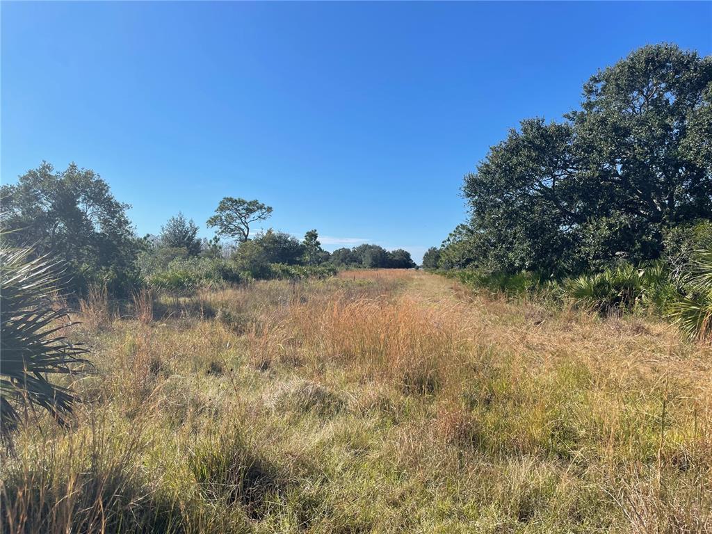ACREAGE & UNREC - Land
