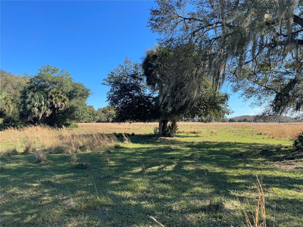 ACREAGE & UNREC - Land