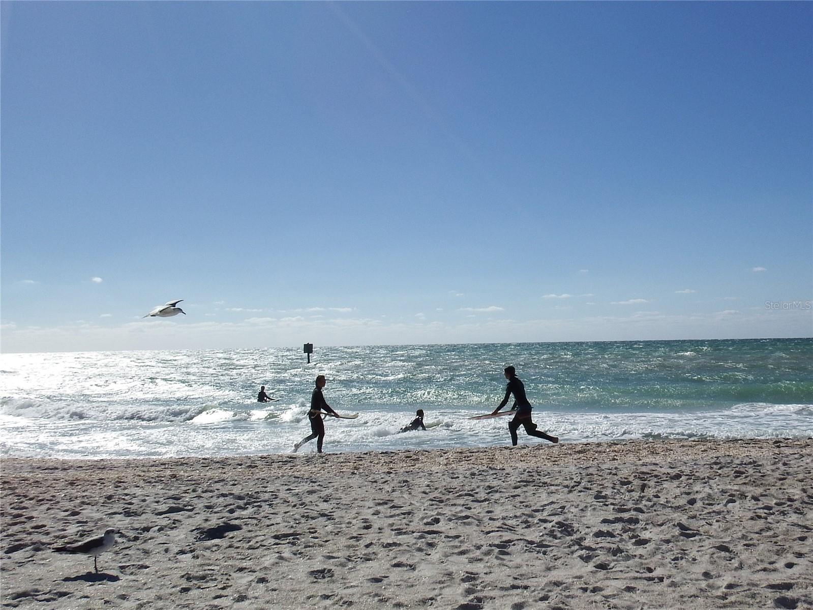 ROTONDA WEST BROADMOOR - Land