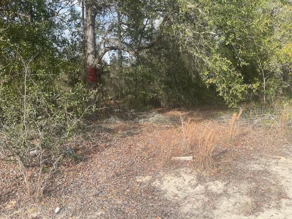 Photo of 0 Rainbow Lakes Estates Blvd, Dunnellon, FL 34431 (MLS # R4910506)