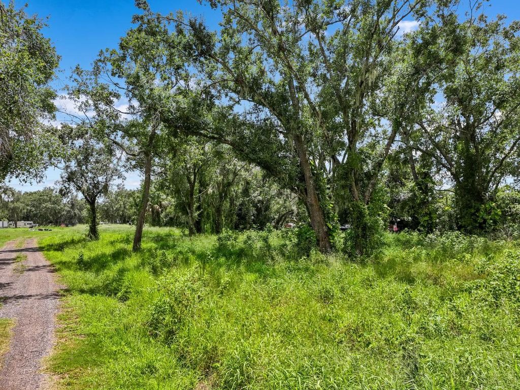 Photo of 5523 Janes Dr, Wimauma, FL 33598 (MLS # TB8418450)