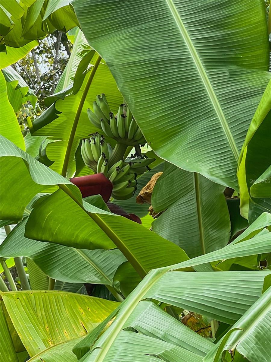 WHEELERS LANDING - Residential