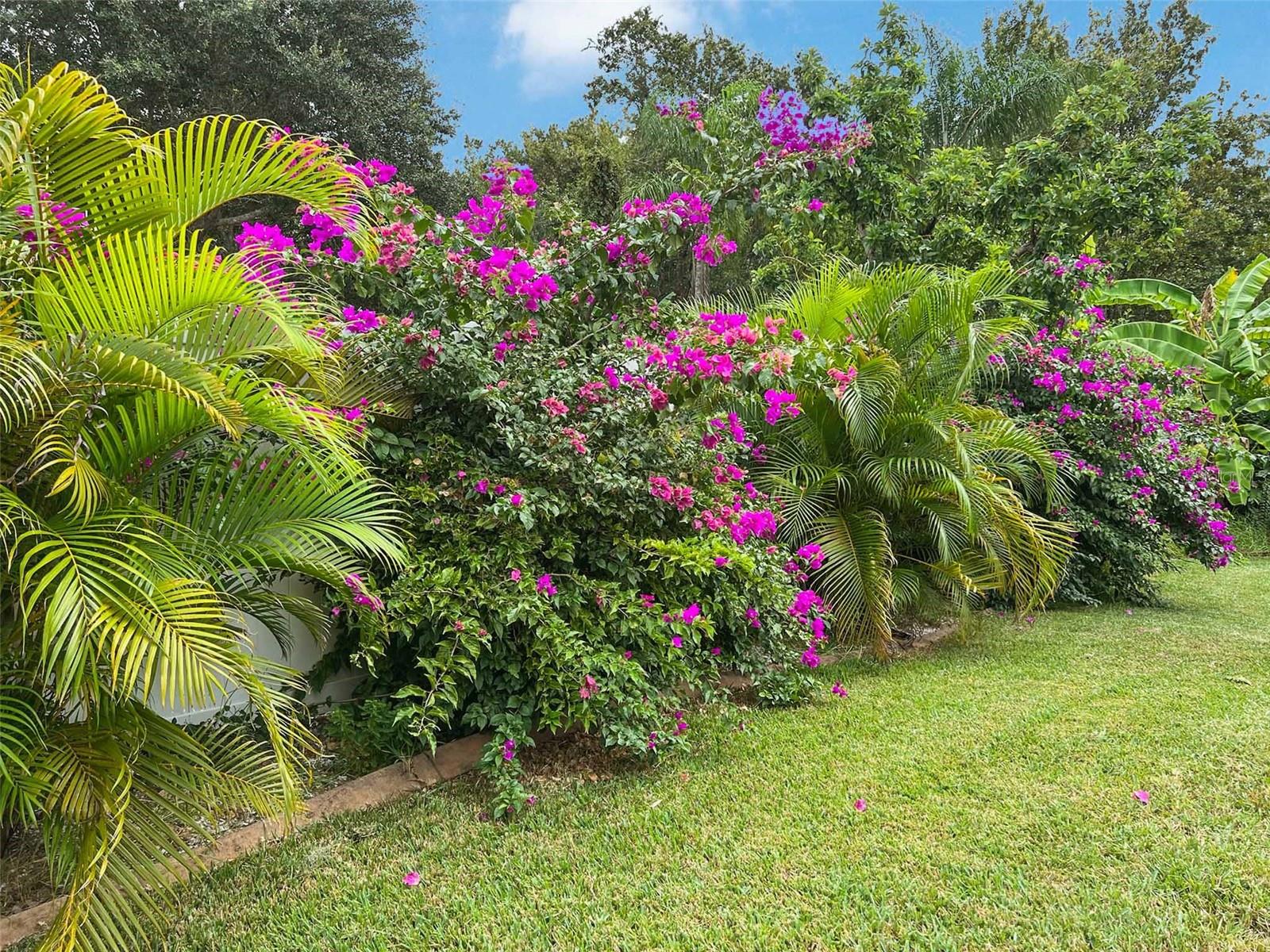 WHEELERS LANDING - Residential