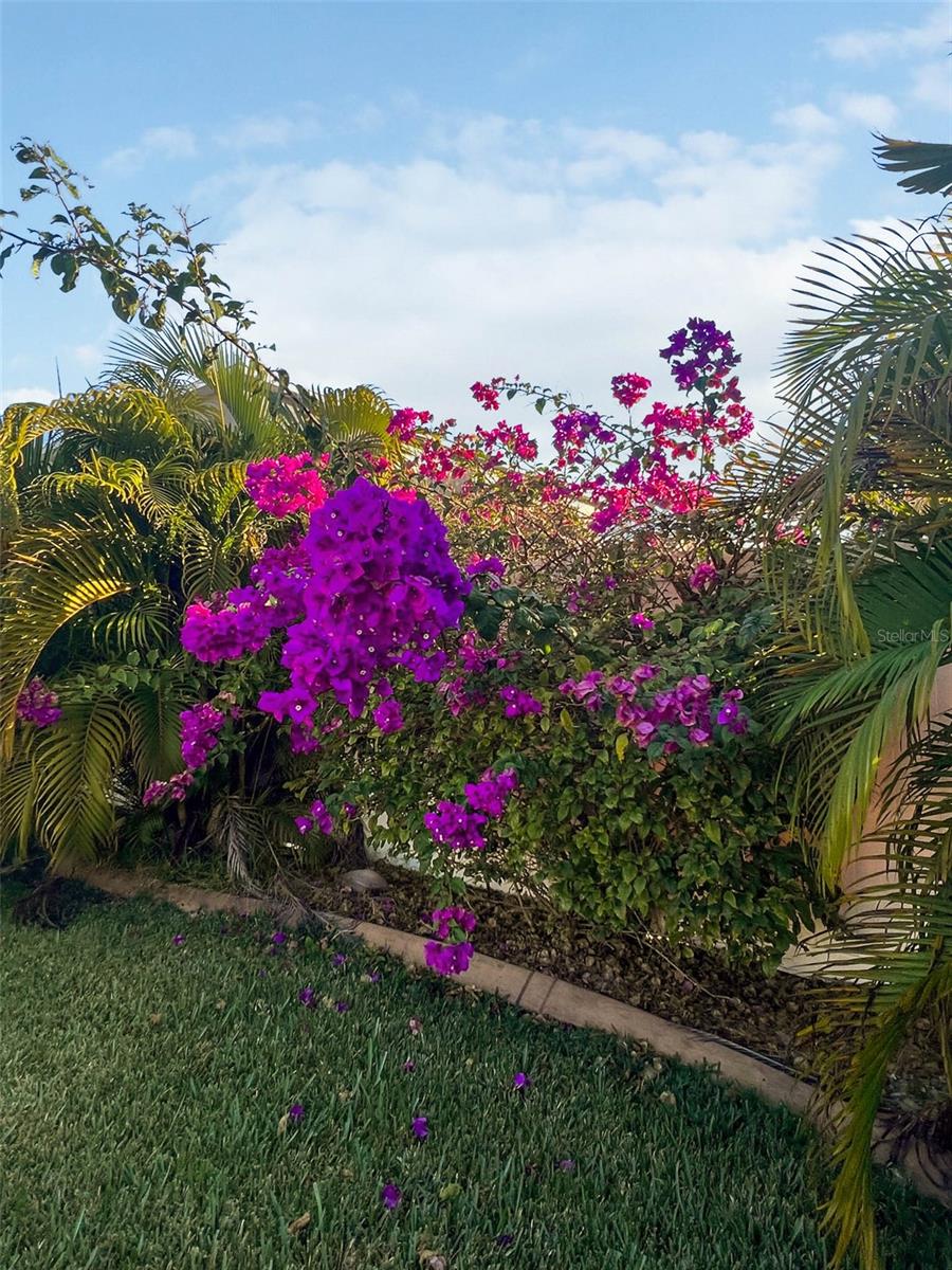 WHEELERS LANDING - Residential