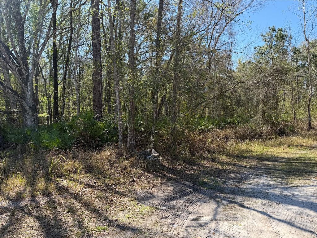 Photo of Tbd Tanner Road, New Port Richey, FL 34654 (MLS # TB8487034)