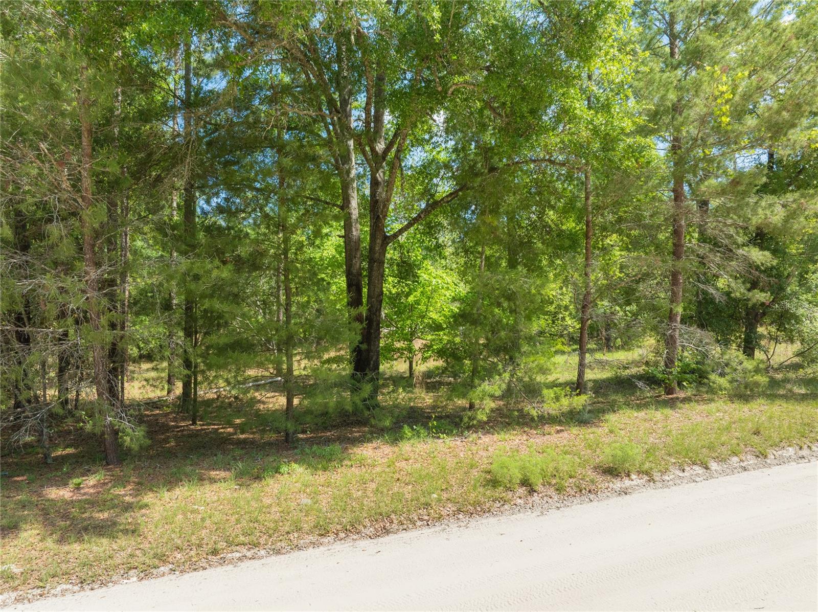 BRANNEN FARMS - Land