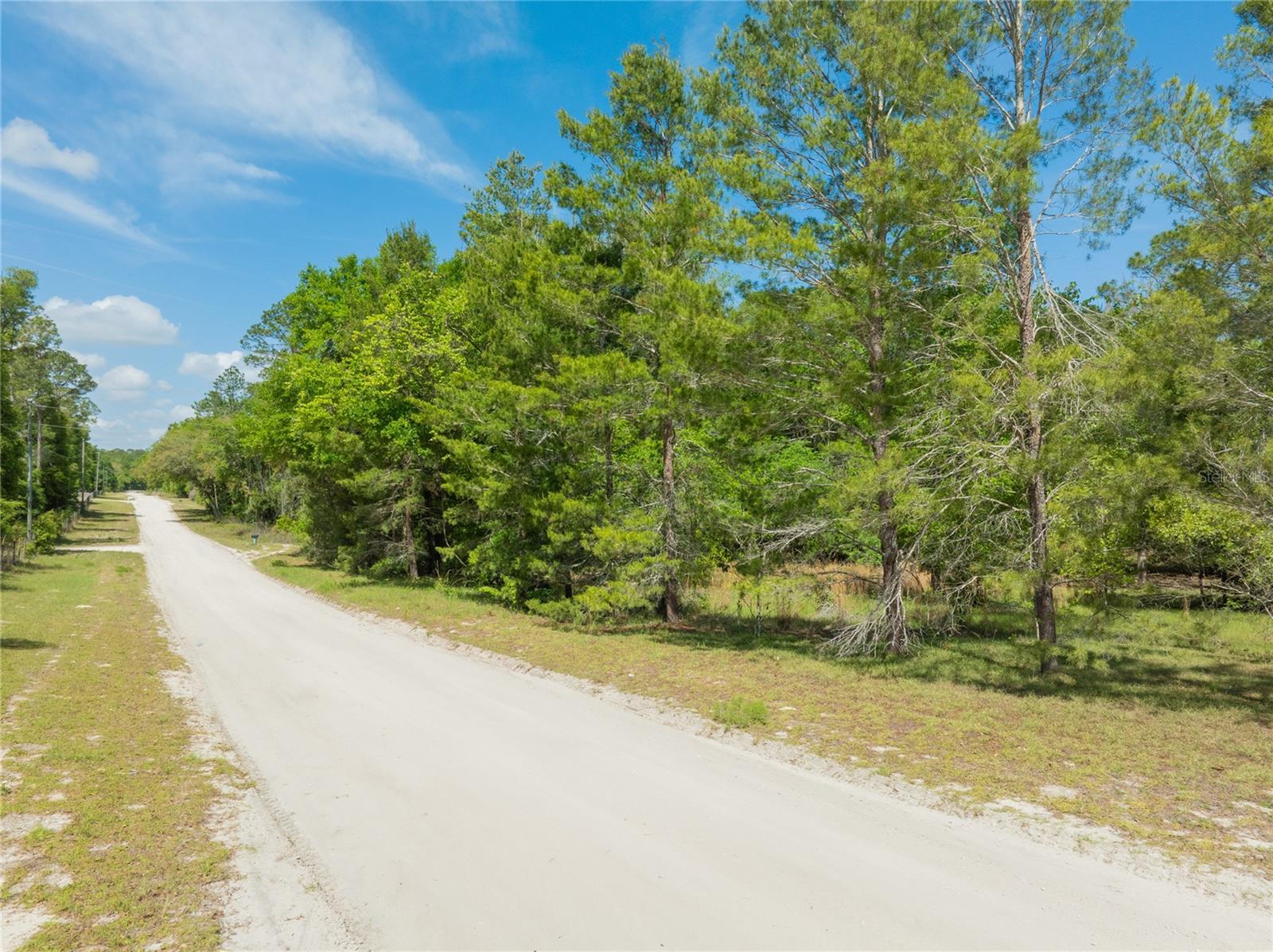 BRANNEN FARMS - Land