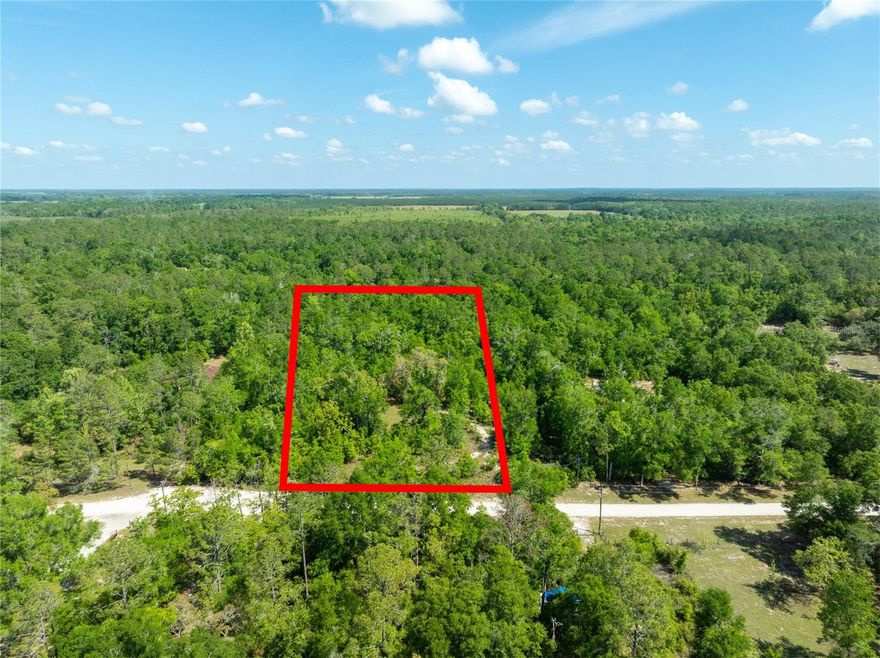 Wooded 4-acre parcel in O'Brien, FL 32071, set in the quiet Suwannee County countryside of North Florida. The land is undeveloped and treed, offering a private, natural setting with plenty of room to spread out. No HOA. Convenient to nearby Live Oak and Branford, with easy access to the area's well-known rivers and springs for weekend exploring and outdoor recreation.