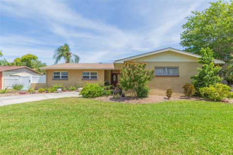 A home in TAMPA