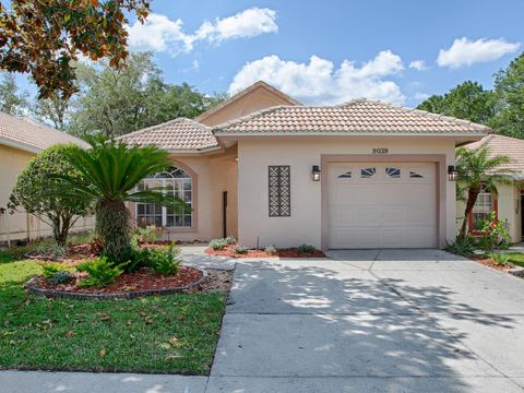 A home in MOUNT DORA