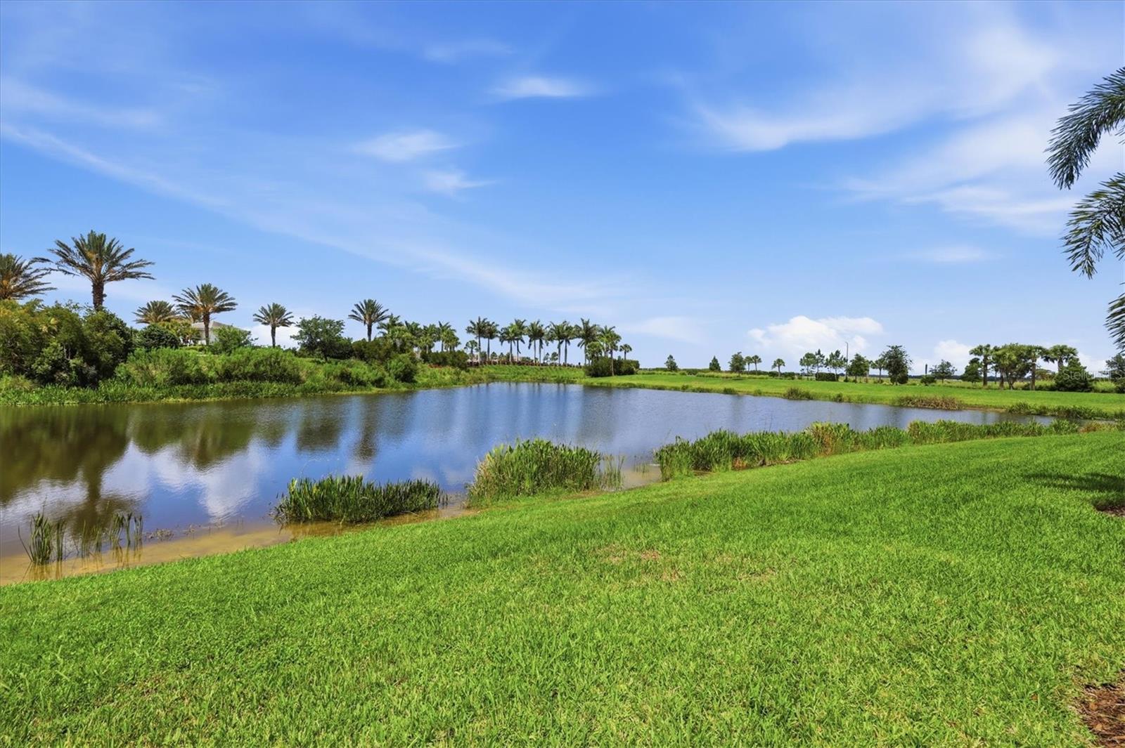 CASSIA AT SKYE RANCH - Residential