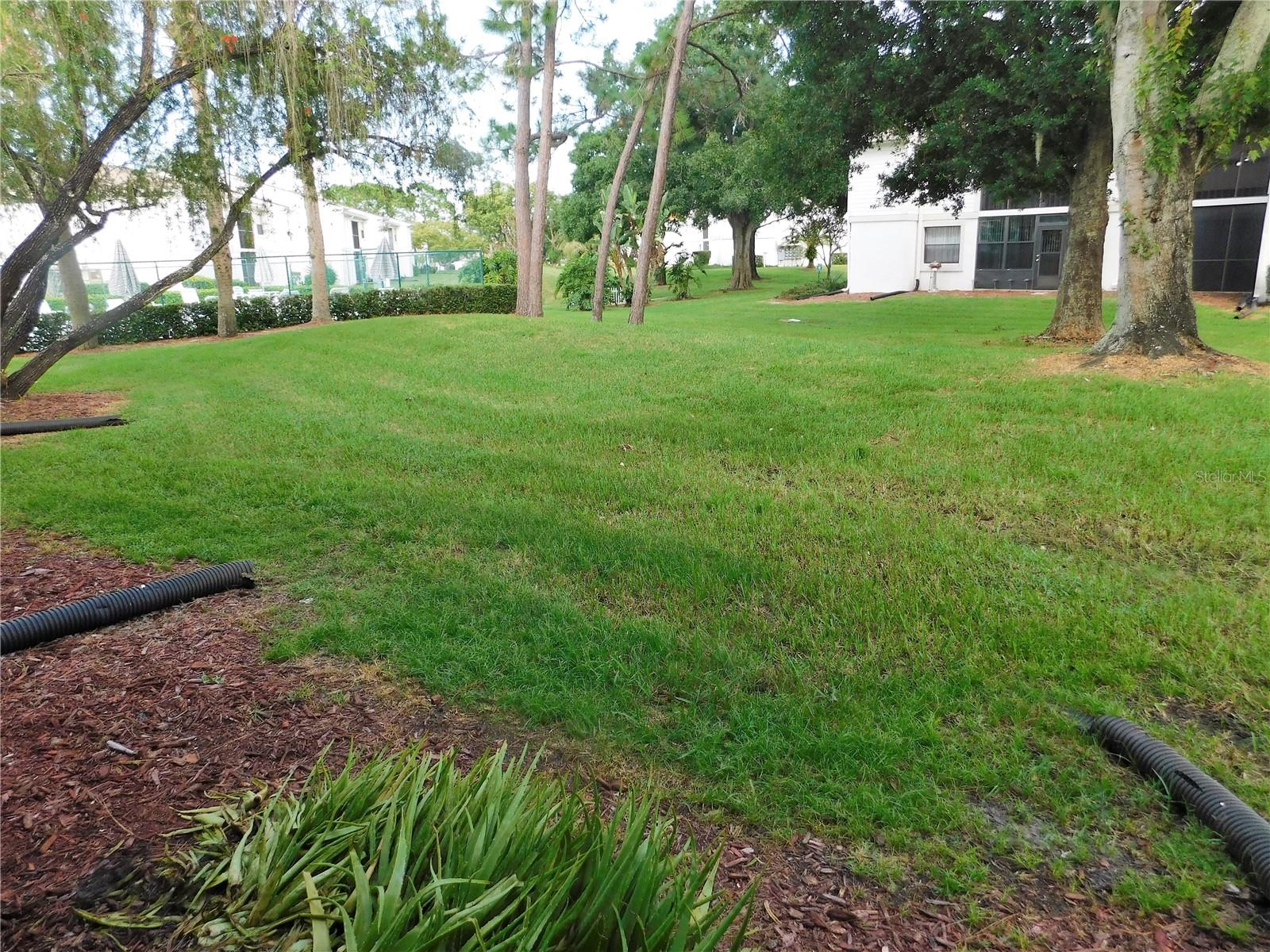 MEADOWS CONDO AT EAST LAKE WOODLANDS - Residential Lease