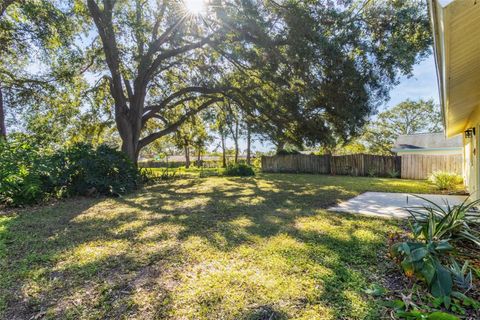 A home in PALM HARBOR